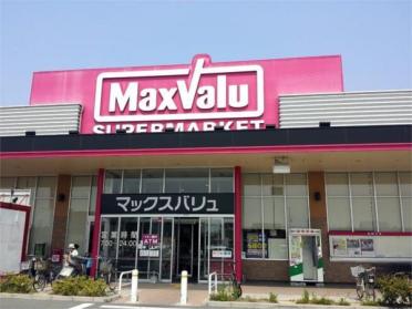 Maxvalu（ﾏｯｸｽﾊﾞﾘｭ） 野口店：1175m