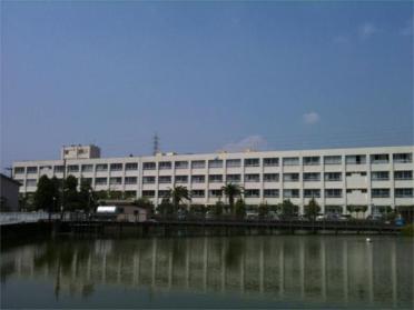 播磨西小学校：589m