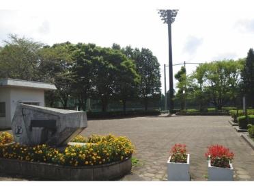 富里中央公園：500m