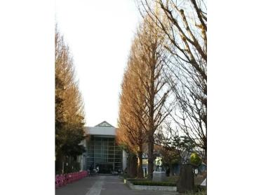 川崎市立高津図書館：826m