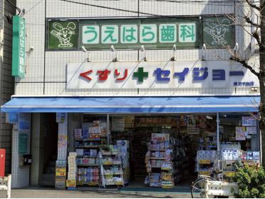 くすりセイジョー深沢不動店：303m