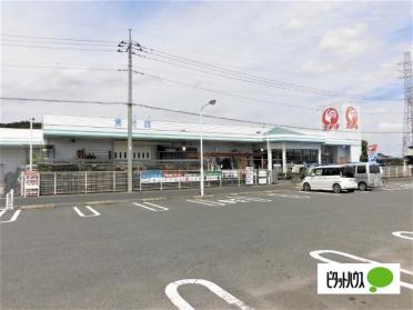 コメリハード＆グリーン栃木大森店：525m