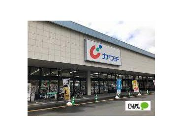 カワチ薬品佐野店：783m