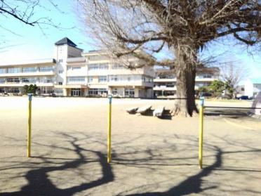 田沼小学校：150m