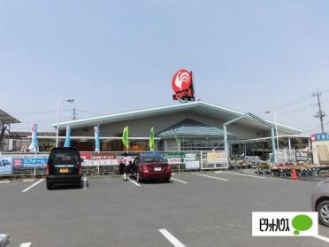 コメリハード＆グリーン新田店：1407m