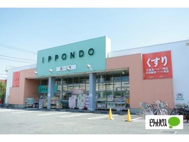 ウエルシア練馬下石神井店：214m