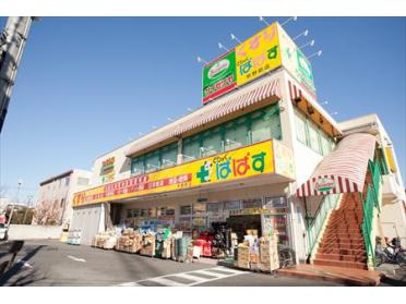 どらっぐぱぱす熊野前店：361m