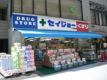 くすりセイジョー大岡山店：550m