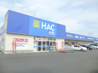 ハックドラッグ小田原栢山店：1018m