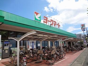 ヨークマート鴨宮店：733m