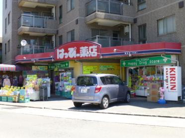 はっぴー薬店鴨宮店：444m