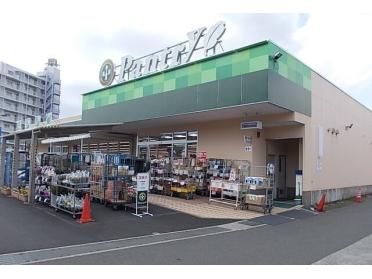 小田原百貨店板橋店：850m