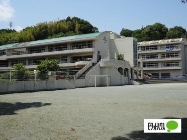 小田原市立大窪小学校：961m