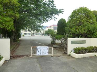 開成町立開成小学校：877m