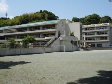 小田原市立大窪小学校：565m