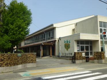 小田原市立新玉小学校：687m