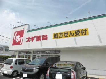 ｽｷﾞﾄﾞﾗｯｸﾞ 新林店：606m