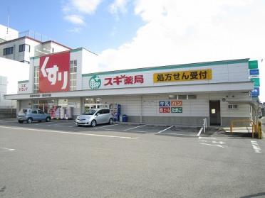 ｽｷﾞﾄﾞﾗｯｸﾞ 高浜中央店：1786m