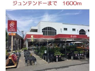 ジュンテンドー五日市店：1600m