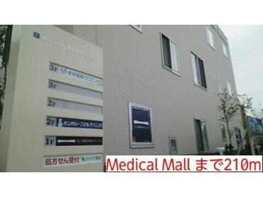 Medical Mall：210m
