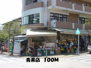 青果店：100m