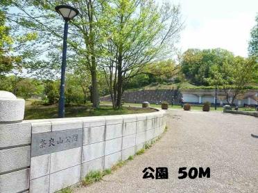 奈良公園：50m