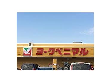 ﾖｰｸﾍﾞﾆﾏﾙ 鶴田店：597m