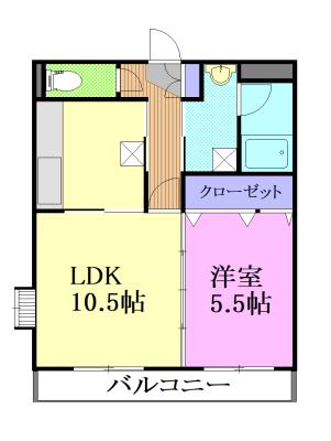 ソル・レヴァンテ錦