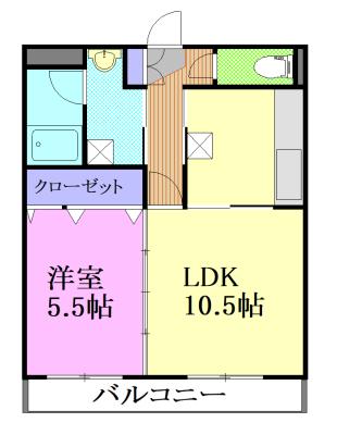 ソル・レヴァンテ錦