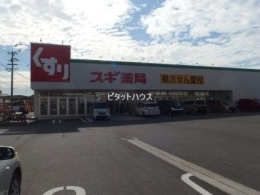 スギ薬局岡崎欠町店　：102m