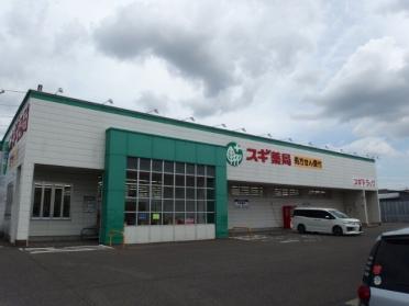 スギ薬局 中島店：928m