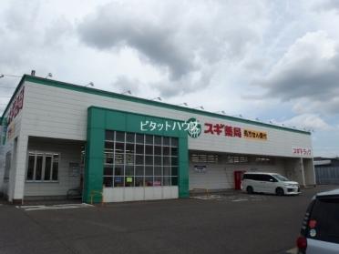 スギ薬局 中島店：928m