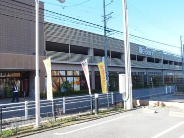 ドミー 岡崎駅東店：484m