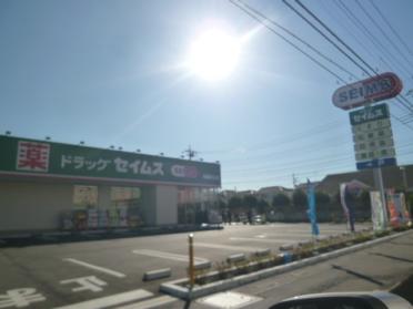 ドラッグセイムス新座片山3丁目店：461m