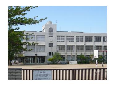 尼崎市立難波小学校：777m