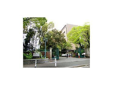 園田学園女子大学図書館：1196m