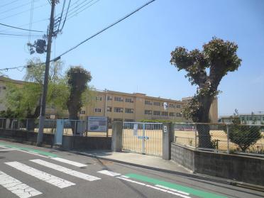 西宮市立春風小学校：344m