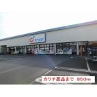 カワチ薬品今泉店：800m