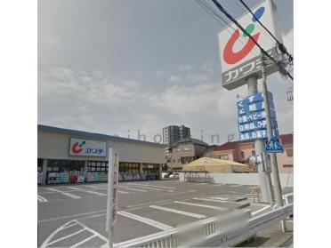 カワチ薬品今泉店：660m