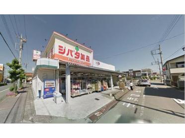 シバタ薬品住吉店：180m