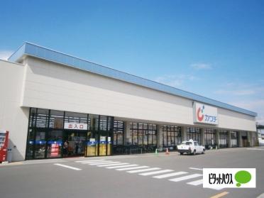 カワチ薬品古川駅東店：888m