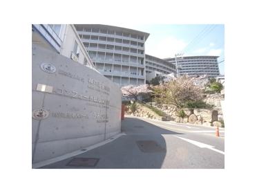 神戸海星病院：550m