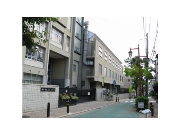 神戸市立成徳小学校：230m