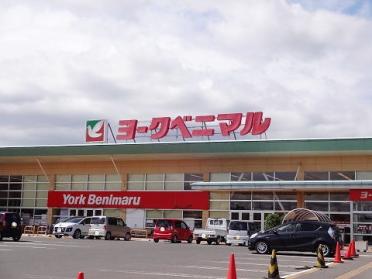 ヨークベニマル新小原田店：900m