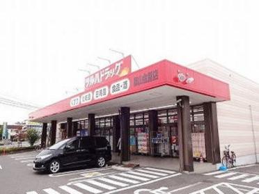 ツルハドラッグ郡山金屋店：1100m