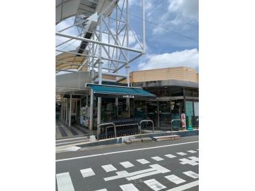 マルフジ南田園店：800m