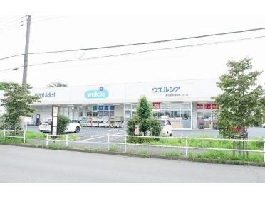 ウエルシア東久留米滝山店：500m