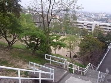 朝日ヶ丘北公園：216m