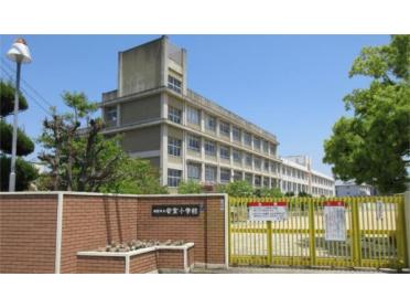 姫路市立安室小学校：873m