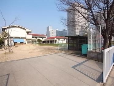 港島幼稚園：200m